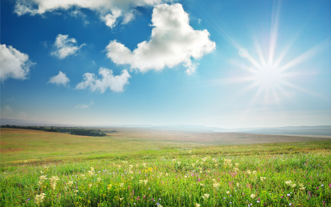 Huella de carbono: Andalucía distinguirá a quienes la neutralicen