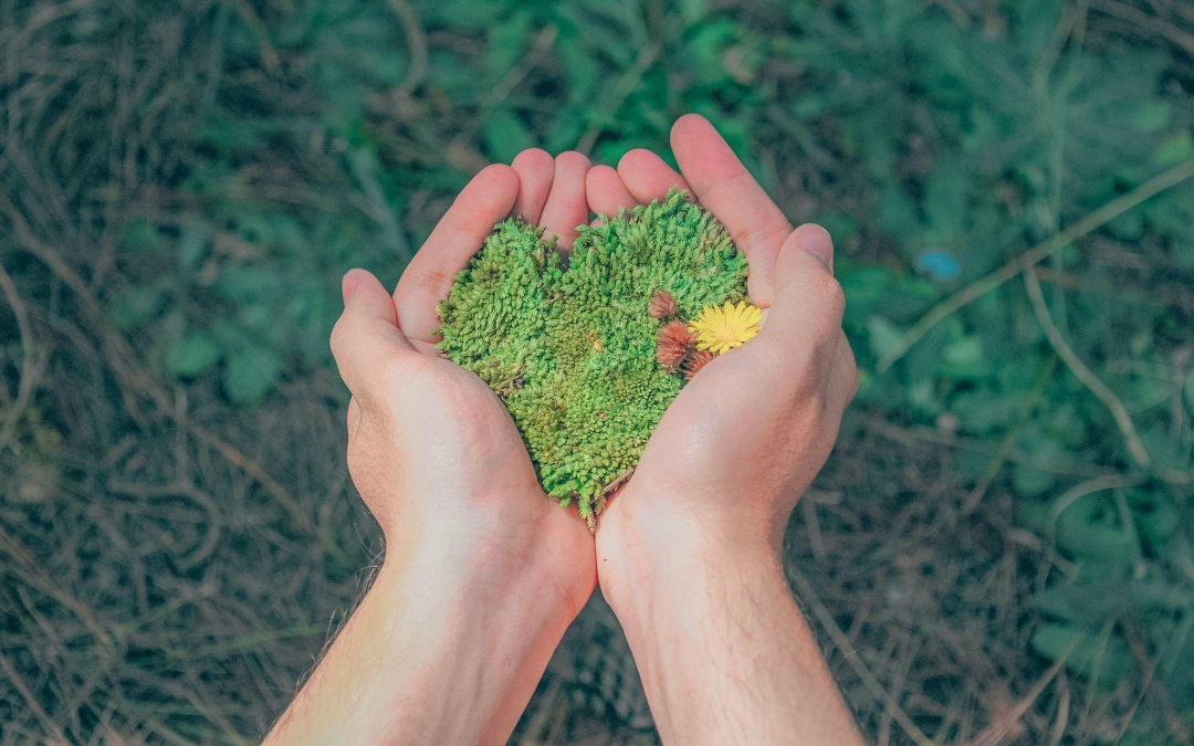 Mejora la eficiencia de tu vivienda gracias a la energía renovable