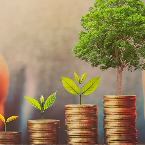 Referente en calidad, sostenibilidad y ahorro