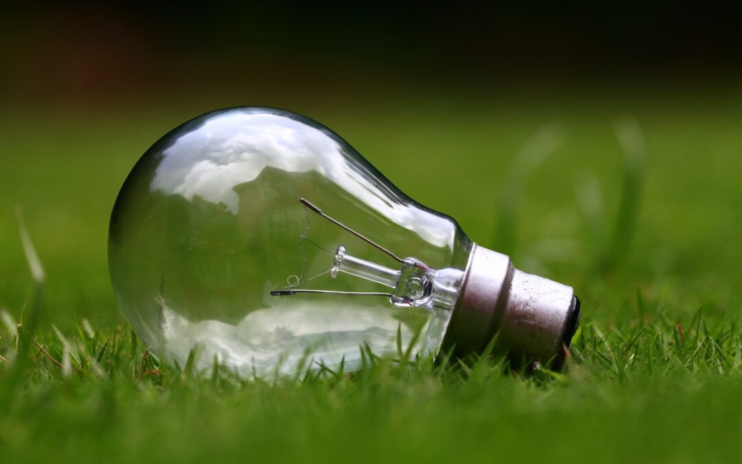 Día Mundial del Ahorro de Energía: conoce las ayudas económicas a empresas